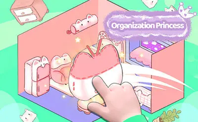 Organization Princess